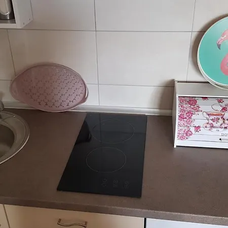 Zen * Veliko Gradište