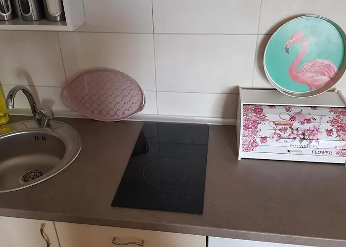 Zen * Велико-Градиште